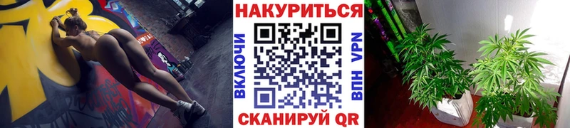 Купить где  Светлоград  МАРИХУАНА SATIVA & INDICA 